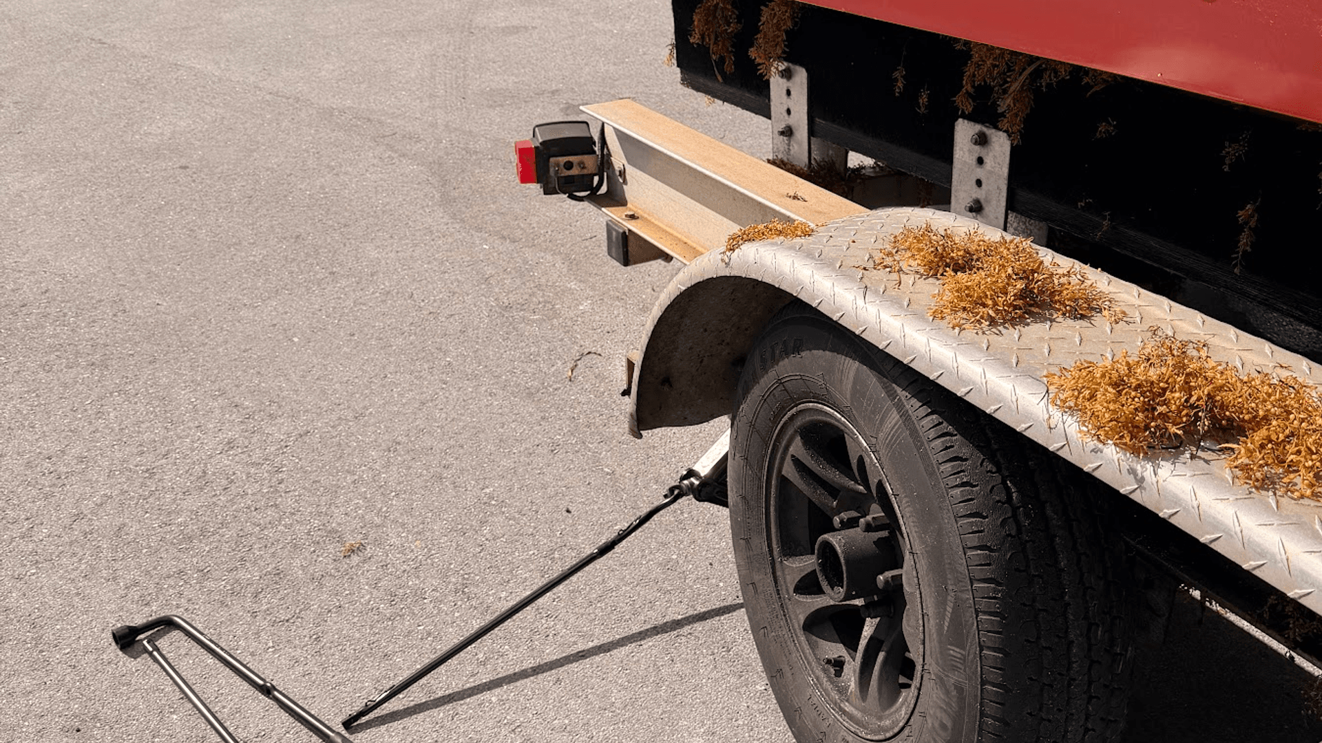 leaf springs & suspension
